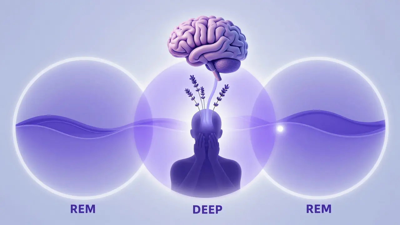 Uyku döngüsüne etki eden aromaterapi masajının nörolojik etkisi, lavanta çiçekleriyle sembolize edilmiştir.